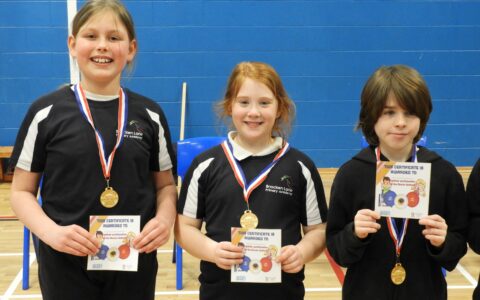 ROA hosts primary boccia festival