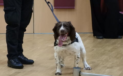 Special visit from Whiskey the working dog
